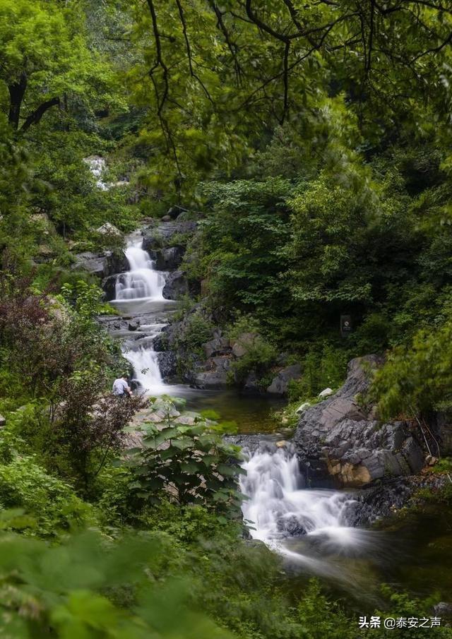 深海鱼救援